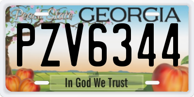 GA license plate PZV6344
