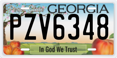 GA license plate PZV6348