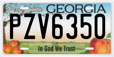 GA license plate PZV6350