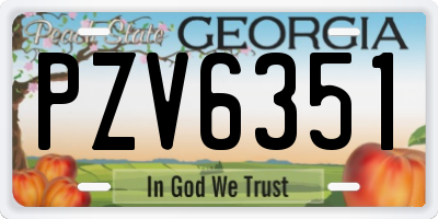 GA license plate PZV6351