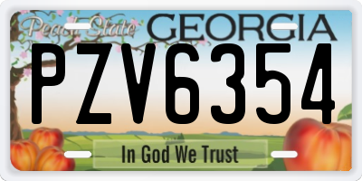 GA license plate PZV6354