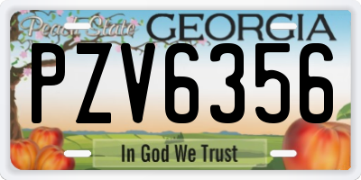 GA license plate PZV6356