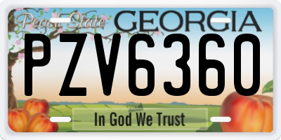 GA license plate PZV6360