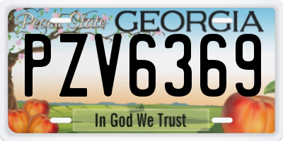 GA license plate PZV6369