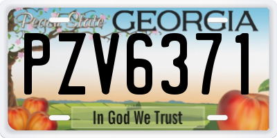 GA license plate PZV6371