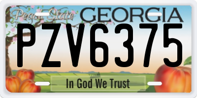 GA license plate PZV6375