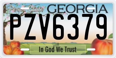 GA license plate PZV6379
