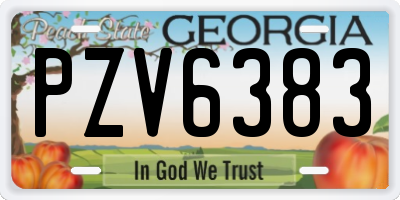 GA license plate PZV6383