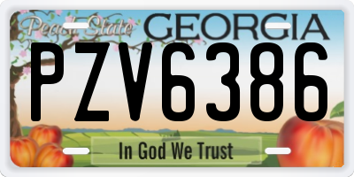 GA license plate PZV6386