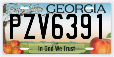 GA license plate PZV6391