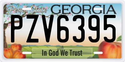 GA license plate PZV6395