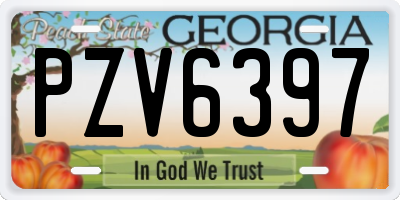 GA license plate PZV6397