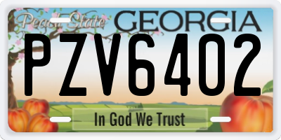 GA license plate PZV6402