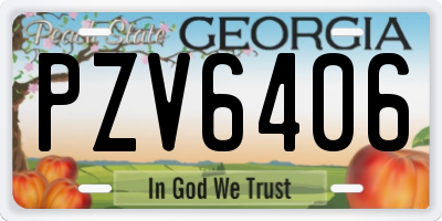 GA license plate PZV6406