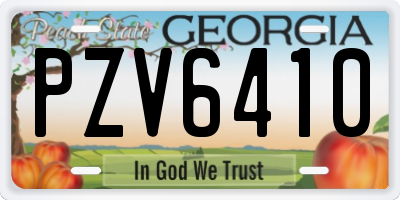 GA license plate PZV6410