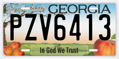 GA license plate PZV6413