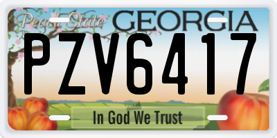 GA license plate PZV6417