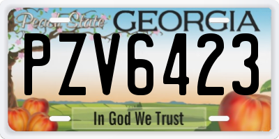 GA license plate PZV6423