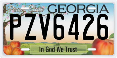 GA license plate PZV6426