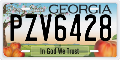 GA license plate PZV6428