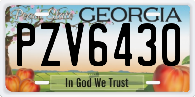 GA license plate PZV6430