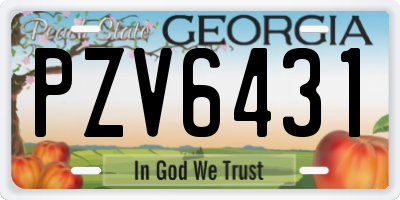 GA license plate PZV6431