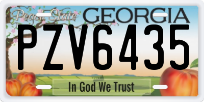 GA license plate PZV6435