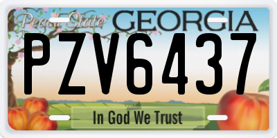 GA license plate PZV6437