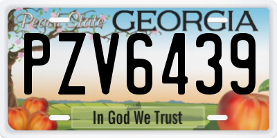 GA license plate PZV6439