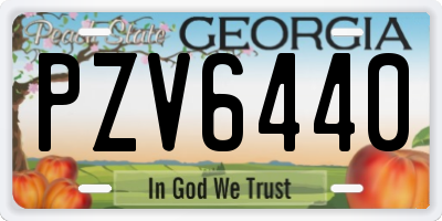 GA license plate PZV6440