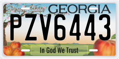 GA license plate PZV6443