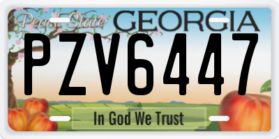 GA license plate PZV6447