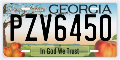 GA license plate PZV6450