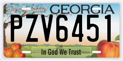 GA license plate PZV6451