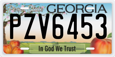 GA license plate PZV6453