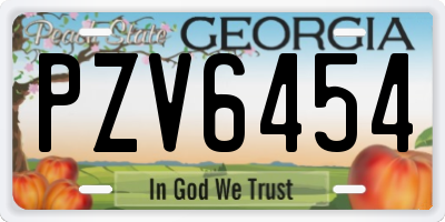 GA license plate PZV6454