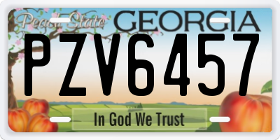 GA license plate PZV6457