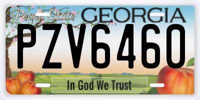 GA license plate PZV6460