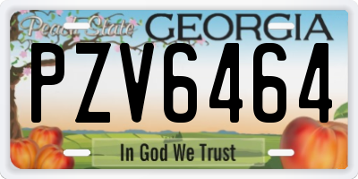 GA license plate PZV6464