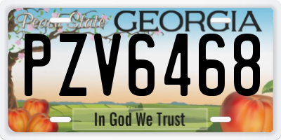 GA license plate PZV6468