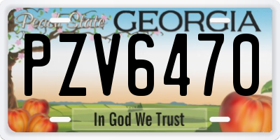 GA license plate PZV6470