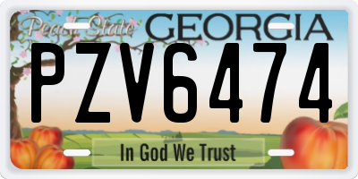 GA license plate PZV6474