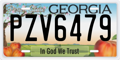 GA license plate PZV6479