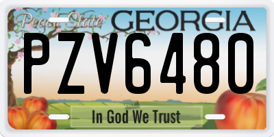 GA license plate PZV6480