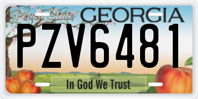 GA license plate PZV6481