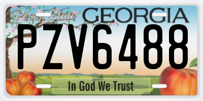 GA license plate PZV6488