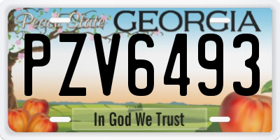 GA license plate PZV6493