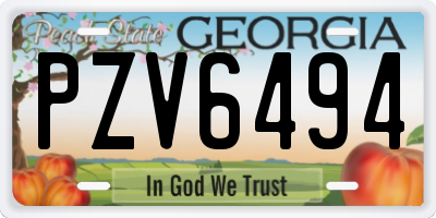 GA license plate PZV6494
