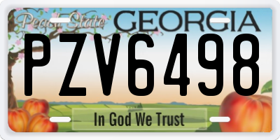 GA license plate PZV6498
