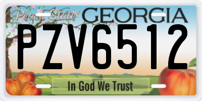 GA license plate PZV6512